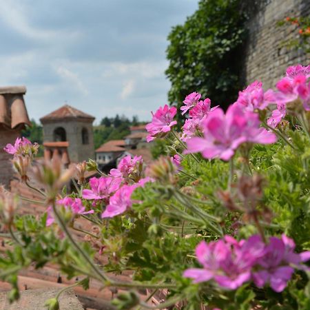 Dimora Storico Romantica Il Sole E La Luna Cerretto Langhe Exterior foto